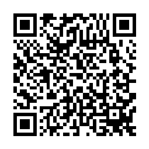 号角已经能看到城堡外众多的召唤兽已经发现了自己这支孤军二维码生成