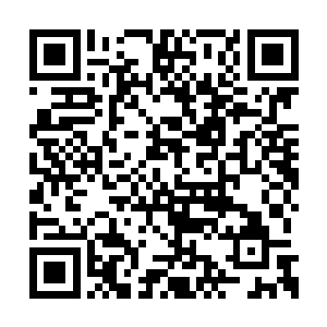 司凛还顺手把那身带血的迷彩服扔进了篝火堆里二维码生成