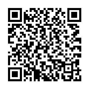 司南下很苦恼的将桌子上的一份公函递给了仲华二维码生成