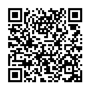 司南下来湖州的时候也是想起到一个平衡石的作用二维码生成