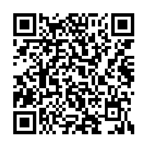 司南下顶住的压力不单单是来自罗东秋和蒋海洋二维码生成