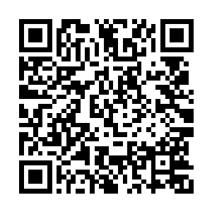 司徒静儿麻溜地在湖边大树下沙地上铺了一层草二维码生成