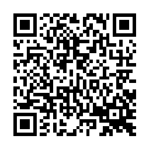 司机师傅更不会想到坐在他车上的这个阳光灿烂的大男孩二维码生成