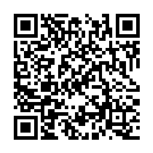 司空玉踢着已经被她打得像鼻青脸肿的猪三斤问道二维码生成