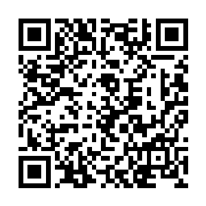 司马十七郎朦胧间看到王妃的如花般的娇颜就在面前二维码生成