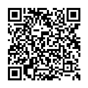 司马十七郎自然也请安老先生给卢八娘也诊了脉二维码生成