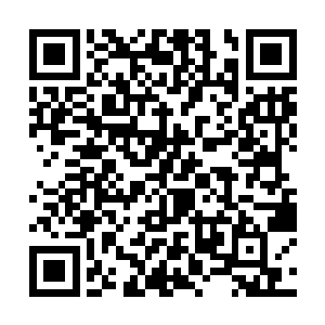 司马懿又怎么会不知身旁这位老对手心里的那点盘算二维码生成