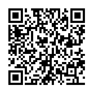 司马明光和刁柴一半心思指挥着飞剑与影狼兽的虚影纠缠二维码生成