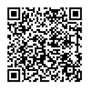 司马石早就与熟稔万界通识天地的少数神捕金章们商议出类似情况下的预案二维码生成