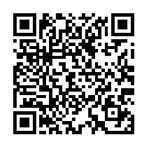 吃完了你去将它埋入到暗面龙气内――这种子就会发芽二维码生成