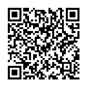 吃惊的人都是那些没有进入地镇关上古遗迹的修士二维码生成