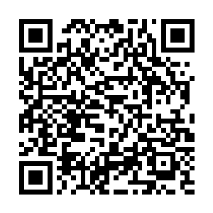 吃过午饭之后陈凌就带领众人离开了红枫城前往下一座城市二维码生成