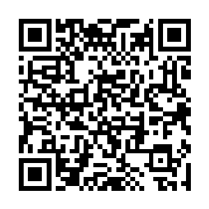 各个大陆和次大陆的奇珍异宝你们都可以在这里看到二维码生成