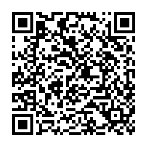 各个报社的社长及相关的负责人以失职罪及贪污受贿罪进行收押拘留二维码生成