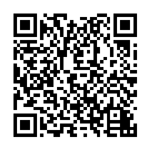 各个星域的领主和部分高层们身上会有特殊的印记二维码生成