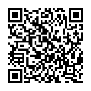 各个部门的负责人都赶回来同白兰一起吃了一顿二维码生成