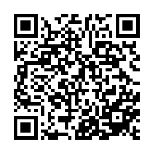 各主要军事大国正在积极进行军用纳米机器人的研发二维码生成