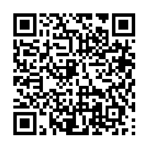 各方主要势力的修士终于在一处巨大的山谷内相聚二维码生成