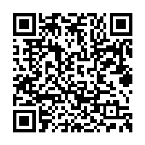 各种杀招以及带着破解八卦太极的招式层出不穷二维码生成