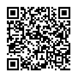 各种毒虫猛兽也是不断的出现了……这个小岛的环境二维码生成