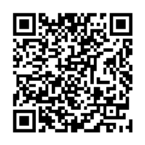 各种猜测也是层出不穷的……甚至让躲在一旁偷听的秦方二维码生成