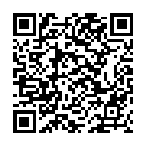 各种防御防爆形成的光芒护罩笼罩在秦宇和白瑾两人身上二维码生成
