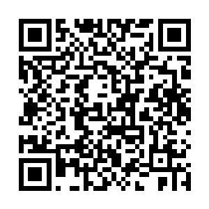 各种饱受蹂躏甚至早已灭绝的作物和生灵都恢复了生机二维码生成