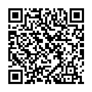 各科老师总会把她做的试卷什么的拎出来当范本二维码生成