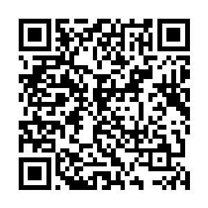 各自控制着自己的修为围着狮虎兽乒乒乓乓地攻击了起来二维码生成