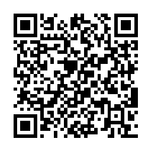 各部主将都看向了远处崩塌之地站立的苗毅和牧雨莲二维码生成
