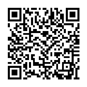 合体的唐劫就已有了正式与分神大妖一战的本钱二维码生成