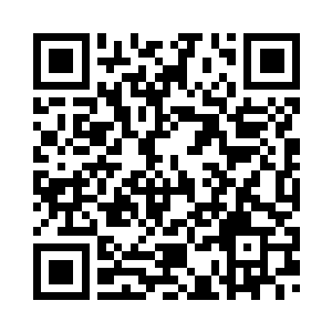 合着他根本就没打算用刀去迎长鞭二维码生成