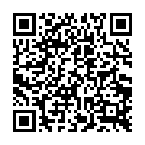 合着这个古宙宗第九长老压根就没有想过圣美的不可匹敌二维码生成