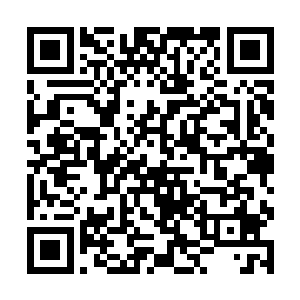 同处在德克萨斯州的艾泼斯坦家族自然也受到了消息二维码生成