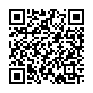 同意不同意在这些国家领导们身上二维码生成