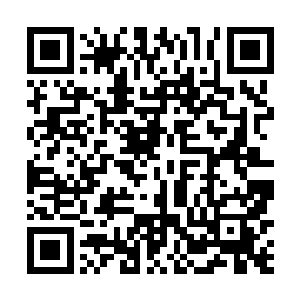 同时一条腿闪电般的迎着那一条条向他踢来的腿的方向二维码生成