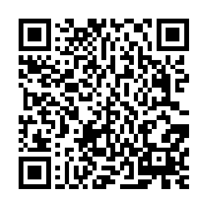 同时也为进一步扩张甚至可以说是多元化发展做好了充分准备二维码生成