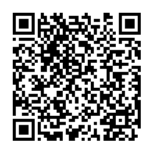 同时也是露出了些许兴趣的……即便他知道这一只血冠狐非常难对付二维码生成