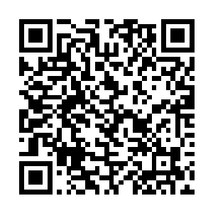 同时也肯定许紫烟的元神之力最差也达到了圣级一层二维码生成