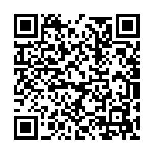 同时也要让麓山集团看到市委市政府拿出来的诚意二维码生成