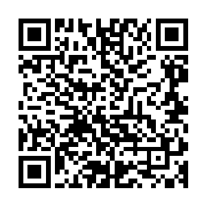 同时也让龙傲天对于魔兽森林的实力有了一个较为直观的了解二维码生成