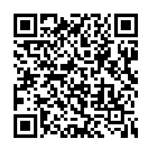 同时也负责与外界的帮会势力和官府势力打交道二维码生成