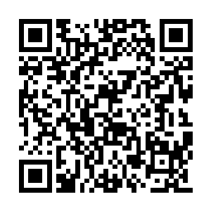 同时他最为重视最为相信的友情也都会毁于一旦二维码生成