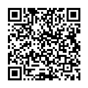 同时内心对自由的渴望又在不断推动着他去挖掘真相二维码生成