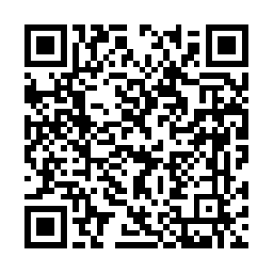 同时又赔了一条命……哪个男人能接受这样的事情二维码生成