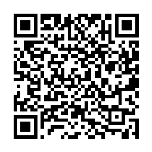 同时双手和双腿也拉出道道残影向着许紫烟疯狂地攻击二维码生成