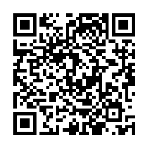 同时在佣兵之城外以一己之力斩杀四名天空圣师的那个剑尘二维码生成