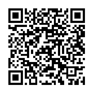 同时她的手上还拎着那五个如死狗一般的武尊强者二维码生成