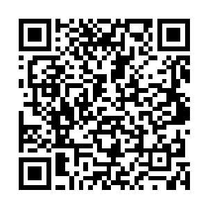 同时好像压根没有看到夭华眼中的嘲弄与听到夭华的讥讽二维码生成