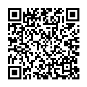 同时将大量的信息与数据资料投影到雷林的面前二维码生成